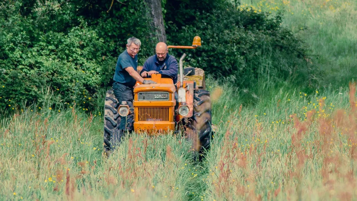 Terrible two